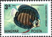 Stamp Hungary Catalog number: 1829/A