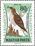 Stamp Hungary Catalog number: 1884/A