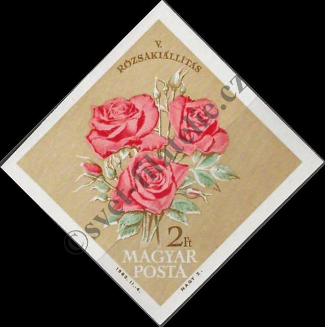 Catalog number: 1922/B