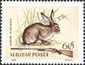 Stamp Hungary Catalog number: 2082/A