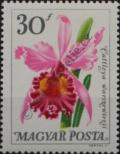 Stamp Hungary Catalog number: 2165/A