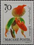 Stamp Hungary Catalog number: 2167/A