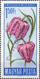 Stamp Hungary Catalog number: 2216/A