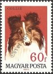 Stamp Hungary Catalog number: 2338/A