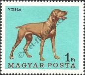 Stamp Hungary Catalog number: 2339/A