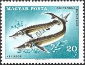 Stamp Hungary Catalog number: 2344/A