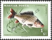 Stamp Hungary Catalog number: 2346/A