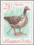 Stamp Hungary Catalog number: 2405/A