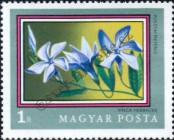 Stamp Hungary Catalog number: 2698/A