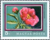Stamp Hungary Catalog number: 2702/A
