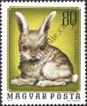 Stamp Hungary Catalog number: 3009/A