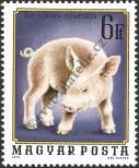 Stamp Hungary Catalog number: 3013/A