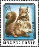Stamp Hungary Catalog number: 3099/A