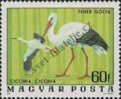 Stamp Hungary Catalog number: 3172/A
