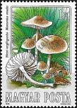 Stamp Hungary Catalog number: 3708/A