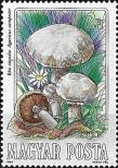 Stamp Hungary Catalog number: 3710/A