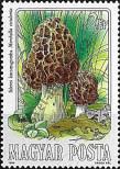 Stamp Hungary Catalog number: 3711/A