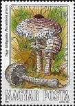 Stamp Hungary Catalog number: 3713/A