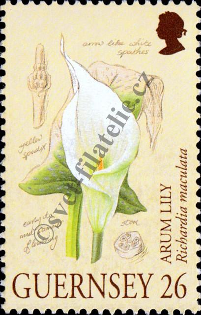 Catalog number: 860