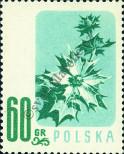 Stamp Poland Catalog number: 1021