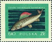 Stamp Poland Catalog number: 1055