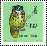 Stamp Poland Catalog number: 1201