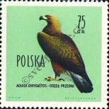 Stamp Poland Catalog number: 1203