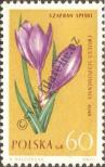 Stamp Poland Catalog number: 1325