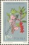 Stamp Poland Catalog number: 1331