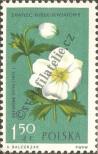 Stamp Poland Catalog number: 1333