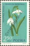 Stamp Poland Catalog number: 1335