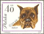 Stamp Poland Catalog number: 1376