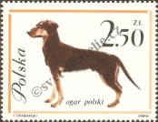 Stamp Poland Catalog number: 1380