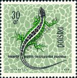 Stamp Poland Catalog number: 1393