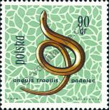 Stamp Poland Catalog number: 1397