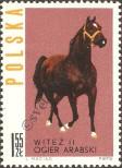 Stamp Poland Catalog number: 1453