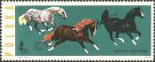 Stamp Poland Catalog number: 1455