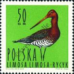 Stamp Poland Catalog number: 1492