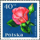 Stamp Poland Catalog number: 1543