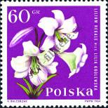 Stamp Poland Catalog number: 1545