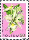 Stamp Poland Catalog number: 1615
