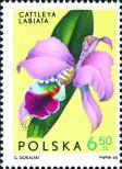 Stamp Poland Catalog number: 1620
