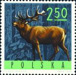 Stamp Poland Catalog number: 1641