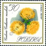 Stamp Poland Catalog number: 1698