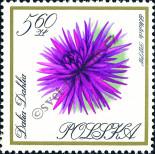 Stamp Poland Catalog number: 1702