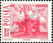 Stamp Poland Catalog number: 1711
