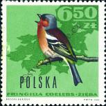 Stamp Poland Catalog number: 1725