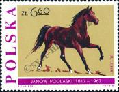 Stamp Poland Catalog number: 1746
