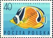 Stamp Poland Catalog number: 1750