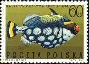 Stamp Poland Catalog number: 1751
